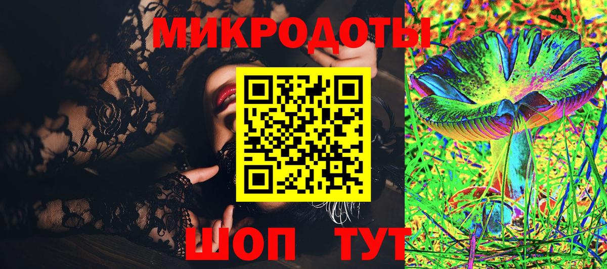 Псилоцибиновые грибы Psilocybe Новомосковск