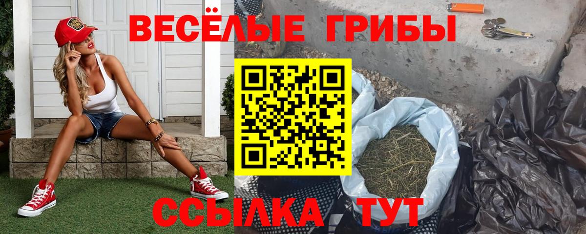 Новомосковск  Галлюциногенные грибы мицелий  Вход с VPN 